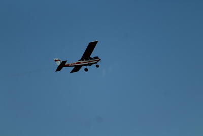 IMG 1610
